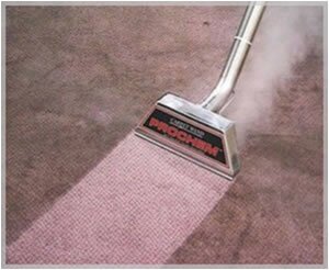 Professional carpet cleaning machine Prochem action.
