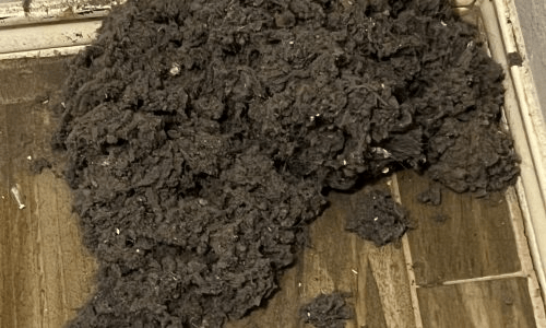 A large pile of dangerous lint cleaned from a dryer vent.