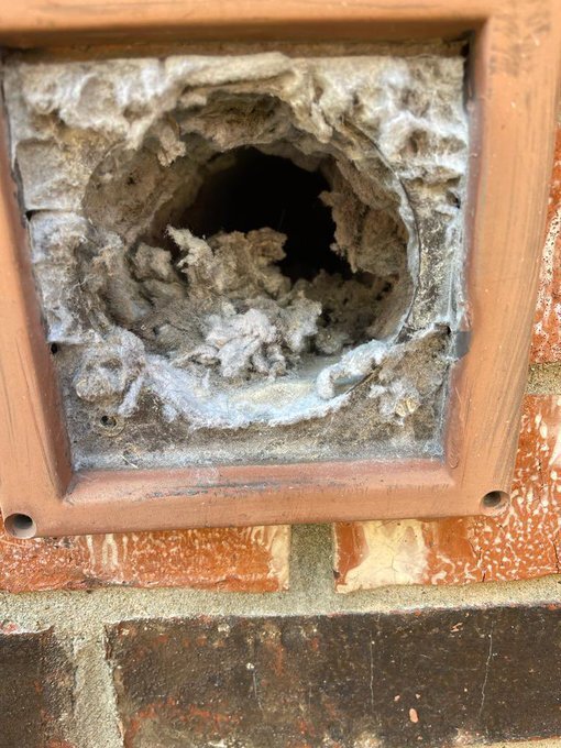 Dryer vent opening on the exterior of a building