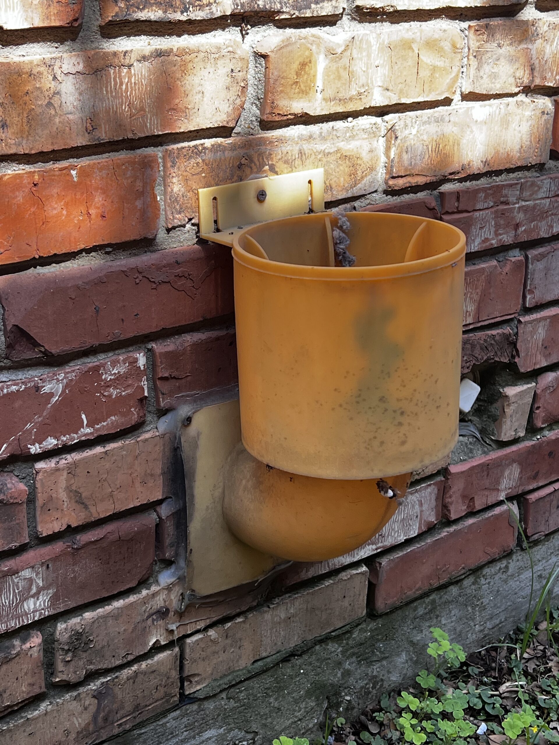 Exterior clothes dryer vent.