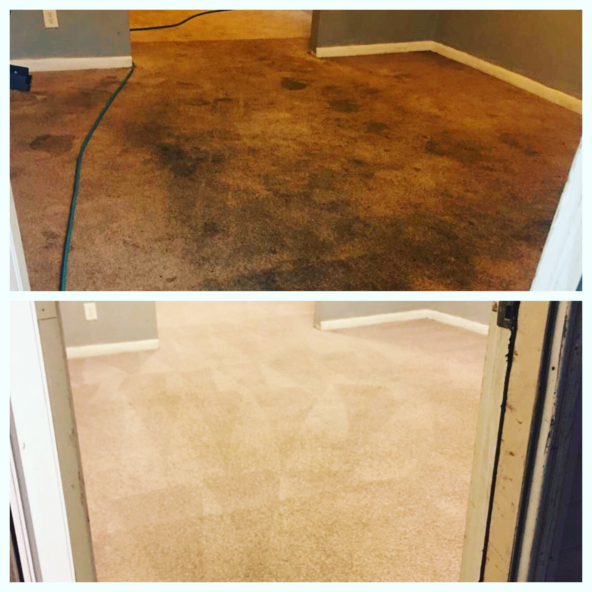 Shows a before-and-after comparison of a carpet that has undergone professional cleaning