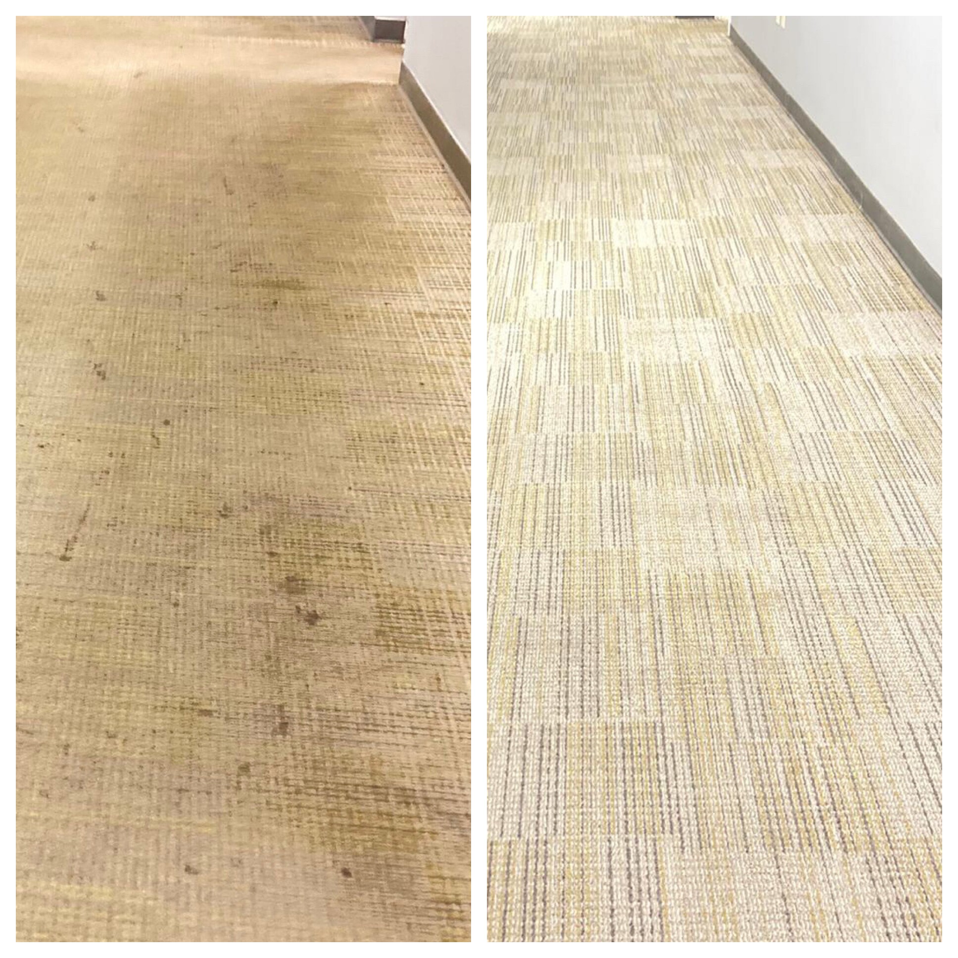 Before-and-after comparison of a carpet that has undergone professional cleaning
