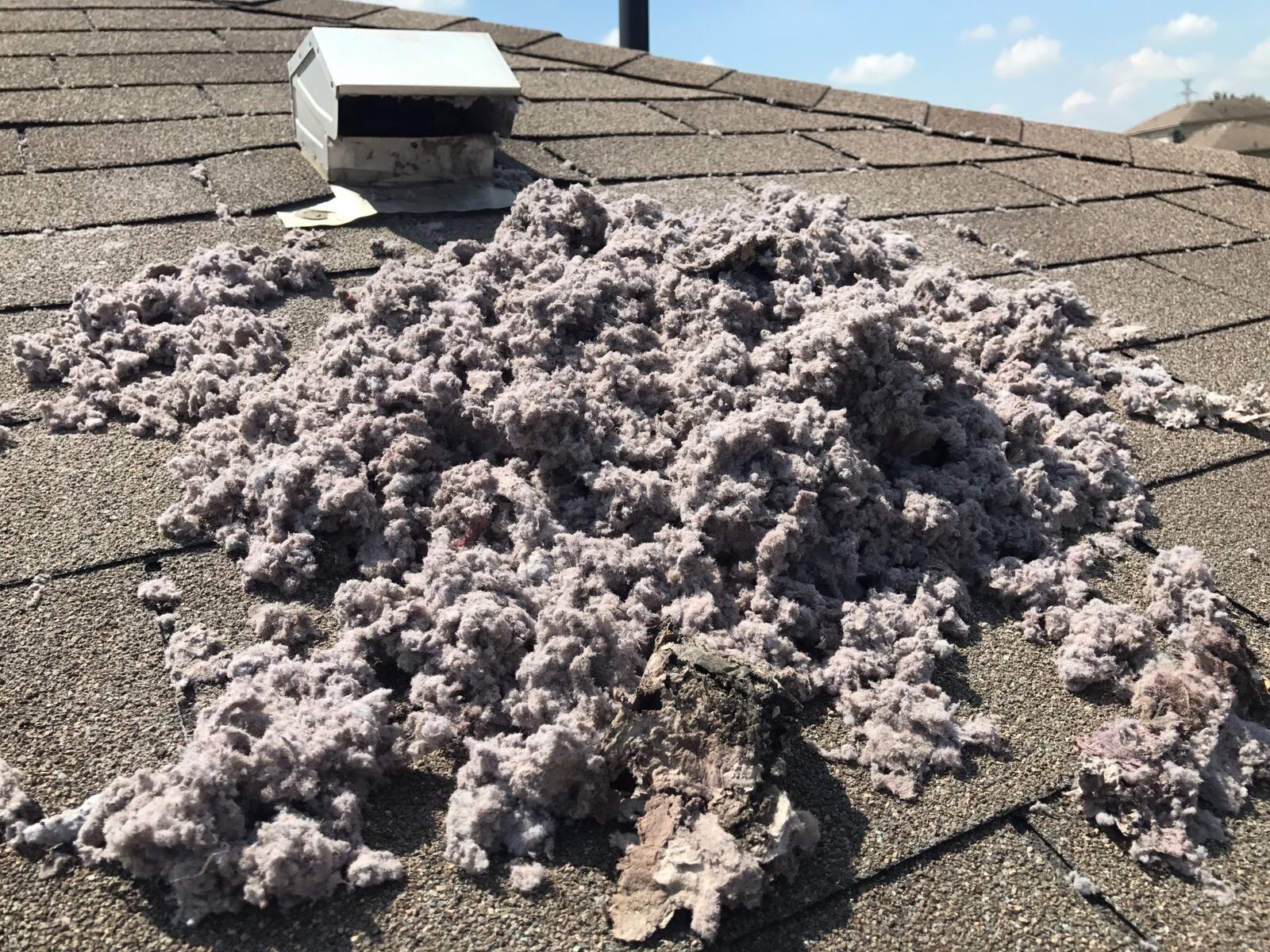 A significant amount of lint and debris accumulated around a dryer vent on a rooftop